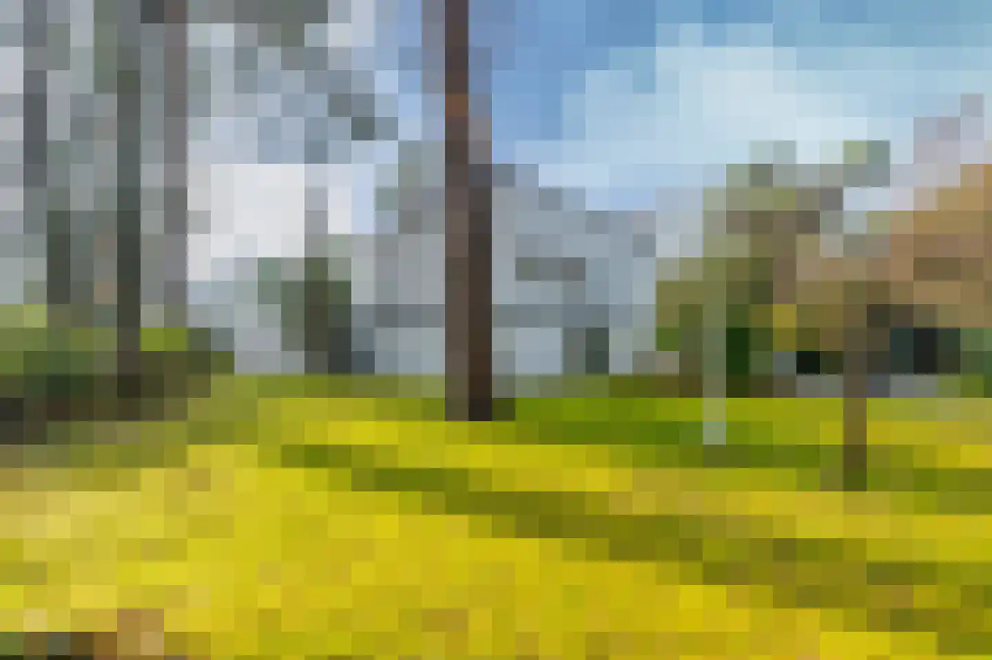 Krijgersberglaan 51 Landgraaf thumbnail 25