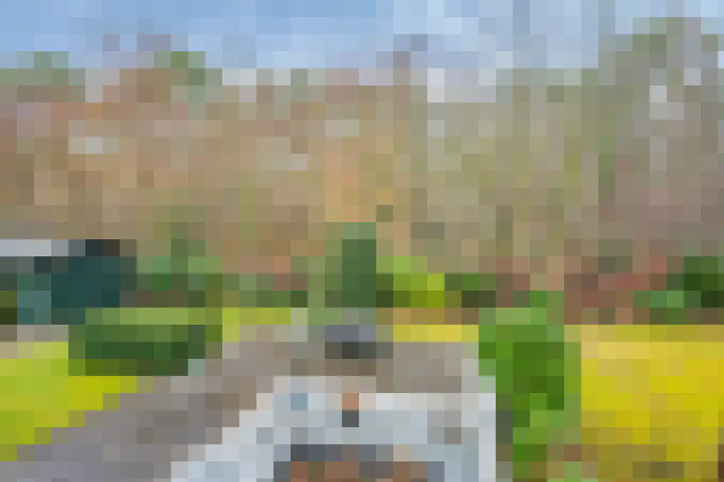 Krijgersberglaan 51 Landgraaf thumbnail 27
