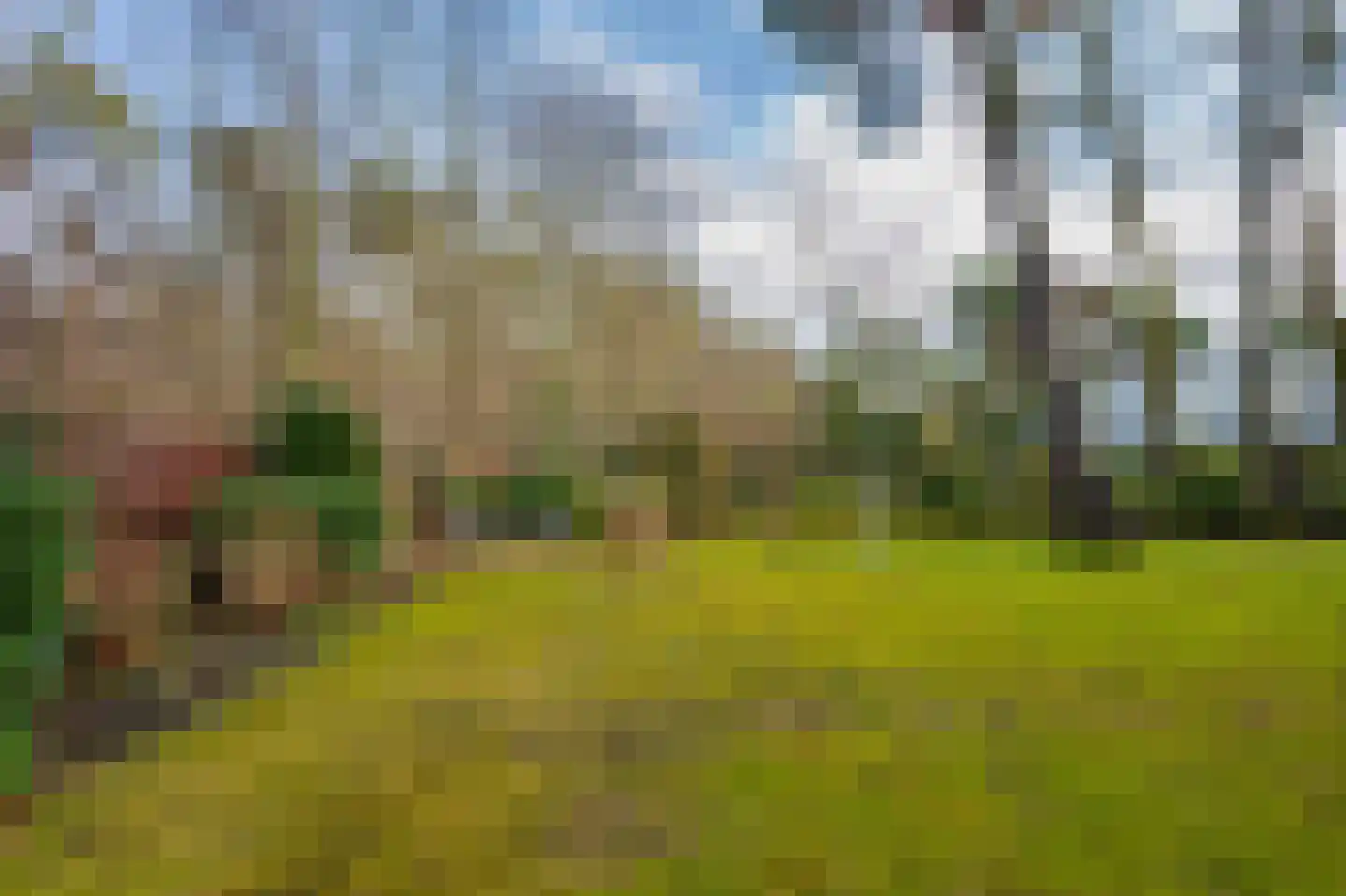 Krijgersberglaan 51 Landgraaf thumbnail 29