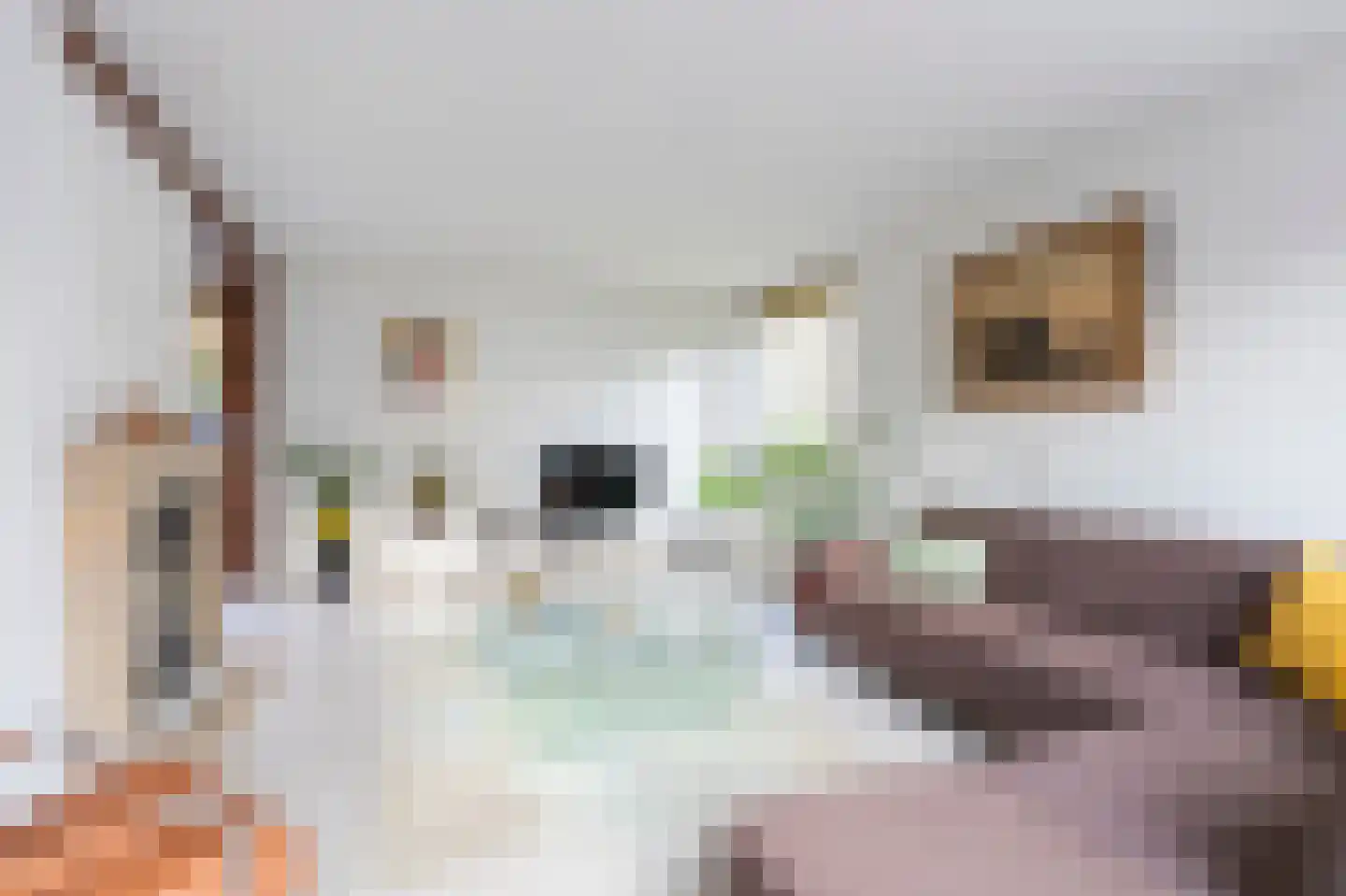 Krijgersberglaan 51 Landgraaf thumbnail 6
