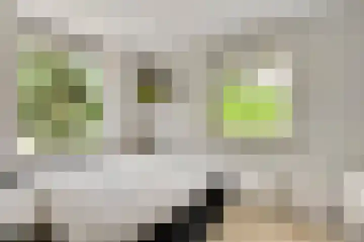 Krijgersberglaan 60 Landgraaf thumbnail 18