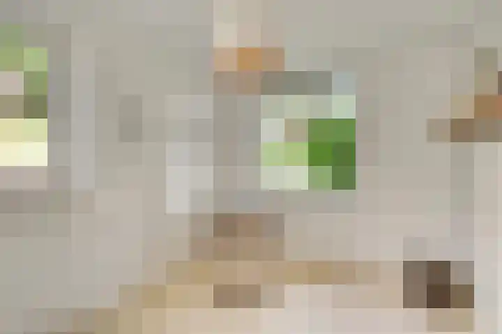 Krijgersberglaan 60 Landgraaf thumbnail 19
