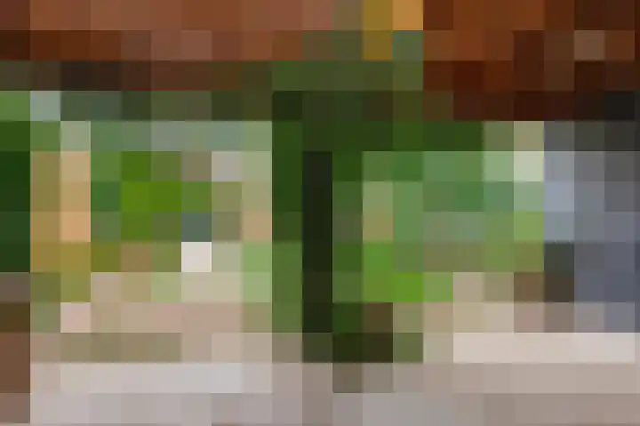 Krijgershoek 32 Beek thumbnail 13