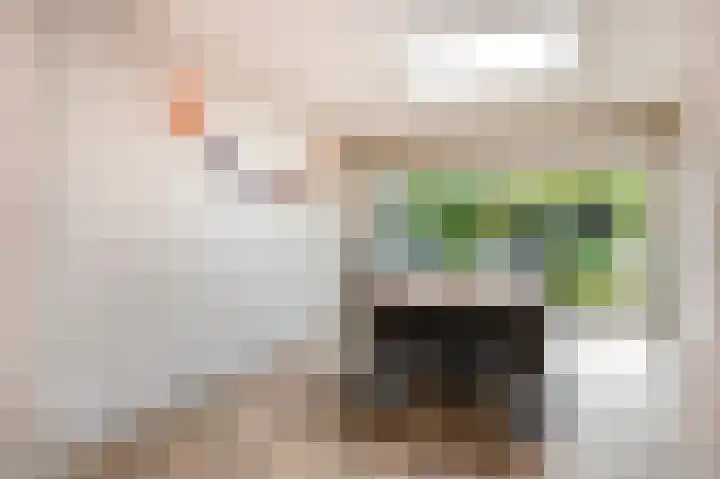 Krijgershoek 32 Beek thumbnail 24