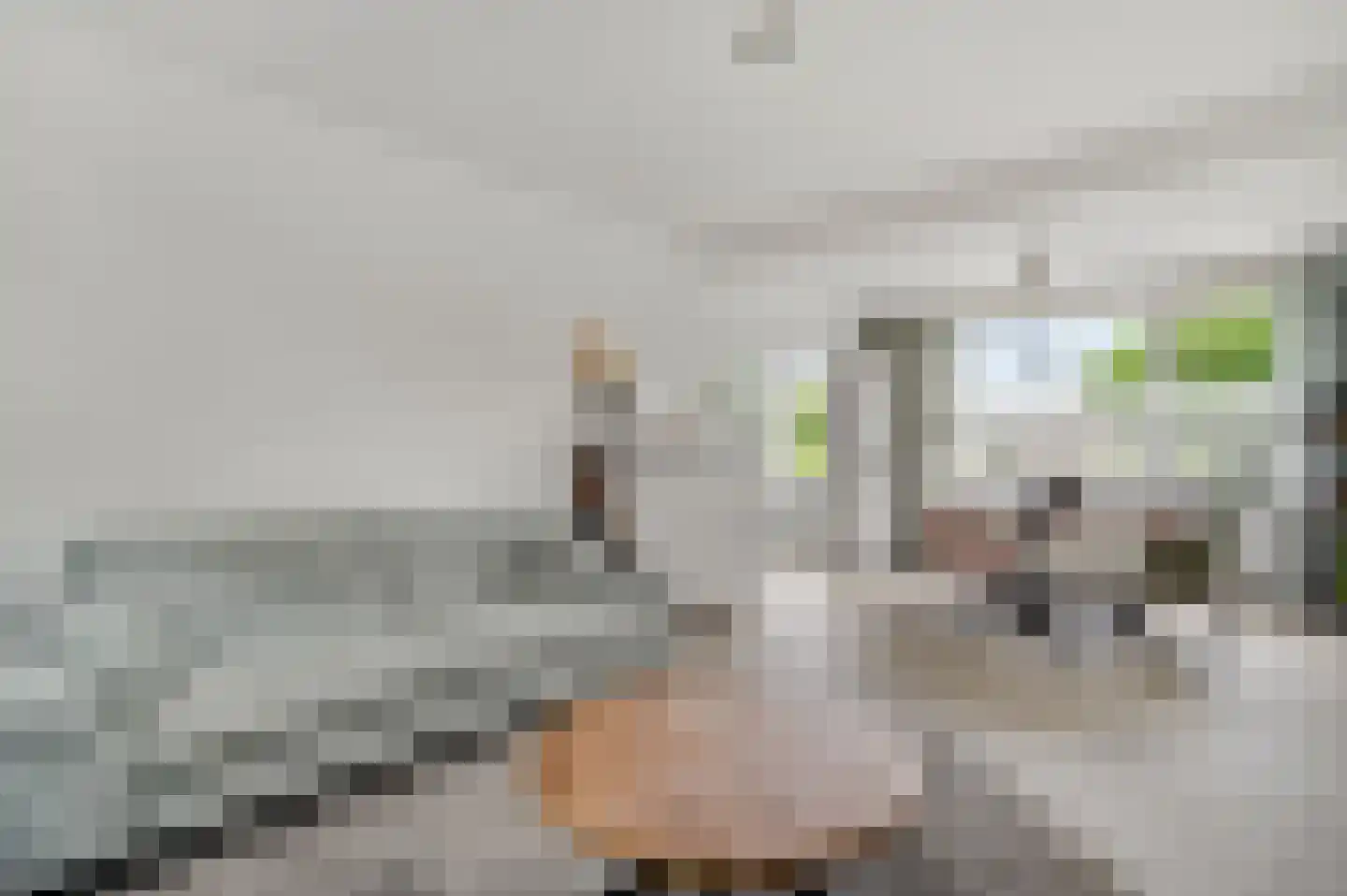 Krijgershoek 41 Beek thumbnail 12