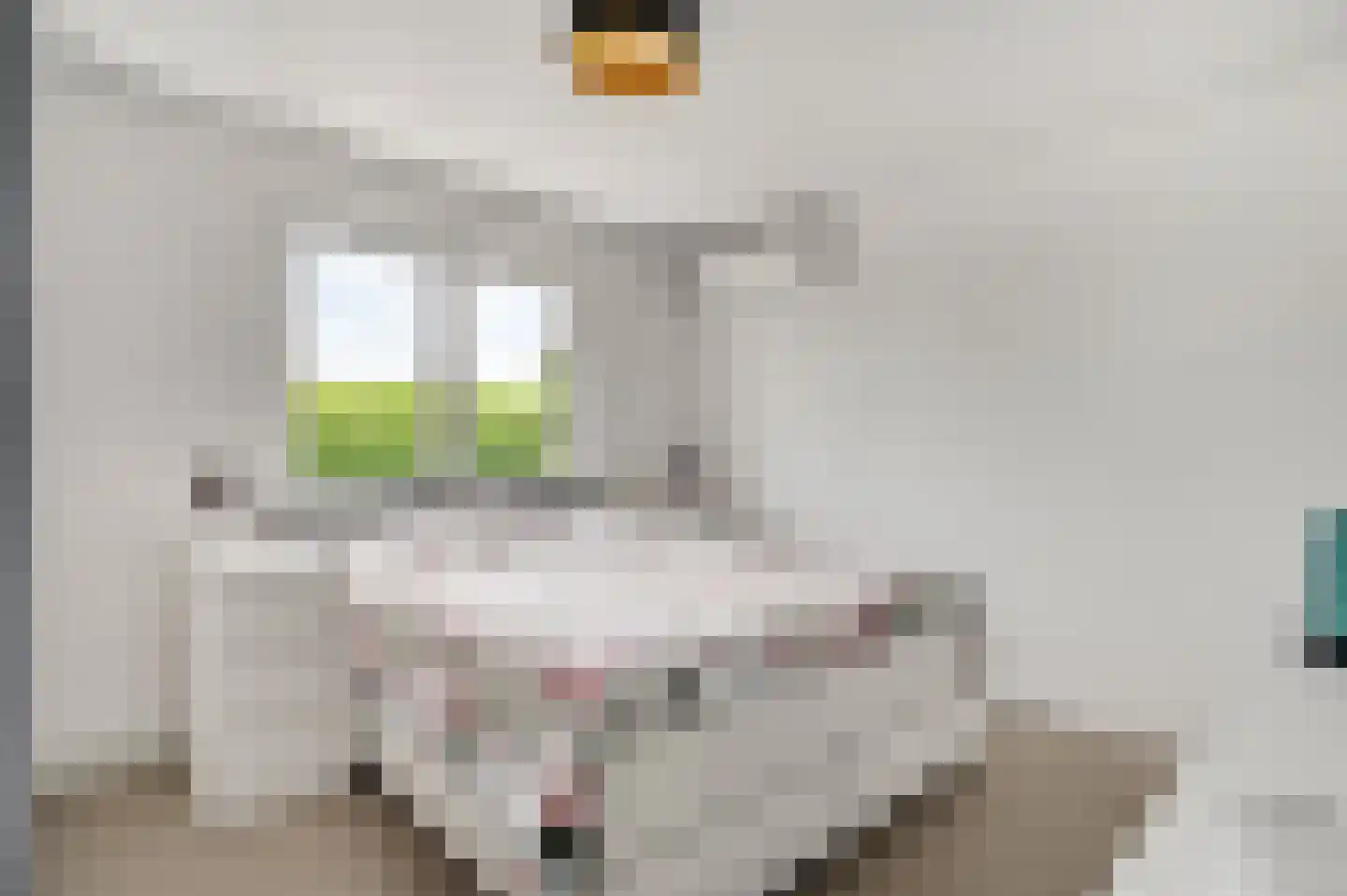 Krijgershoek 41 Beek thumbnail 17