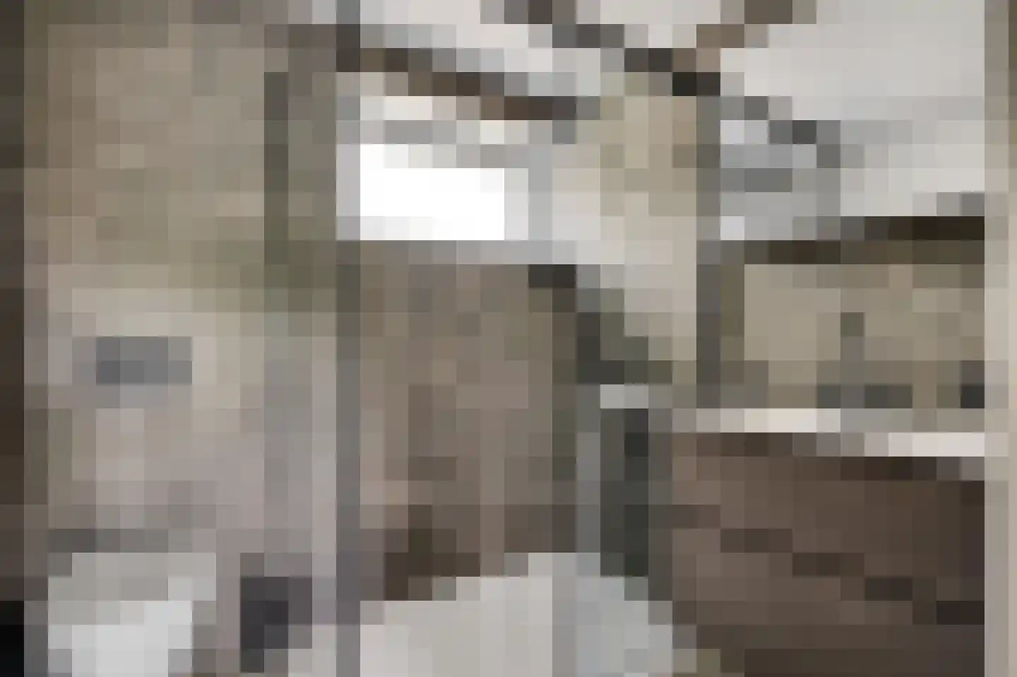 Krijgershoek 41 Beek thumbnail 22