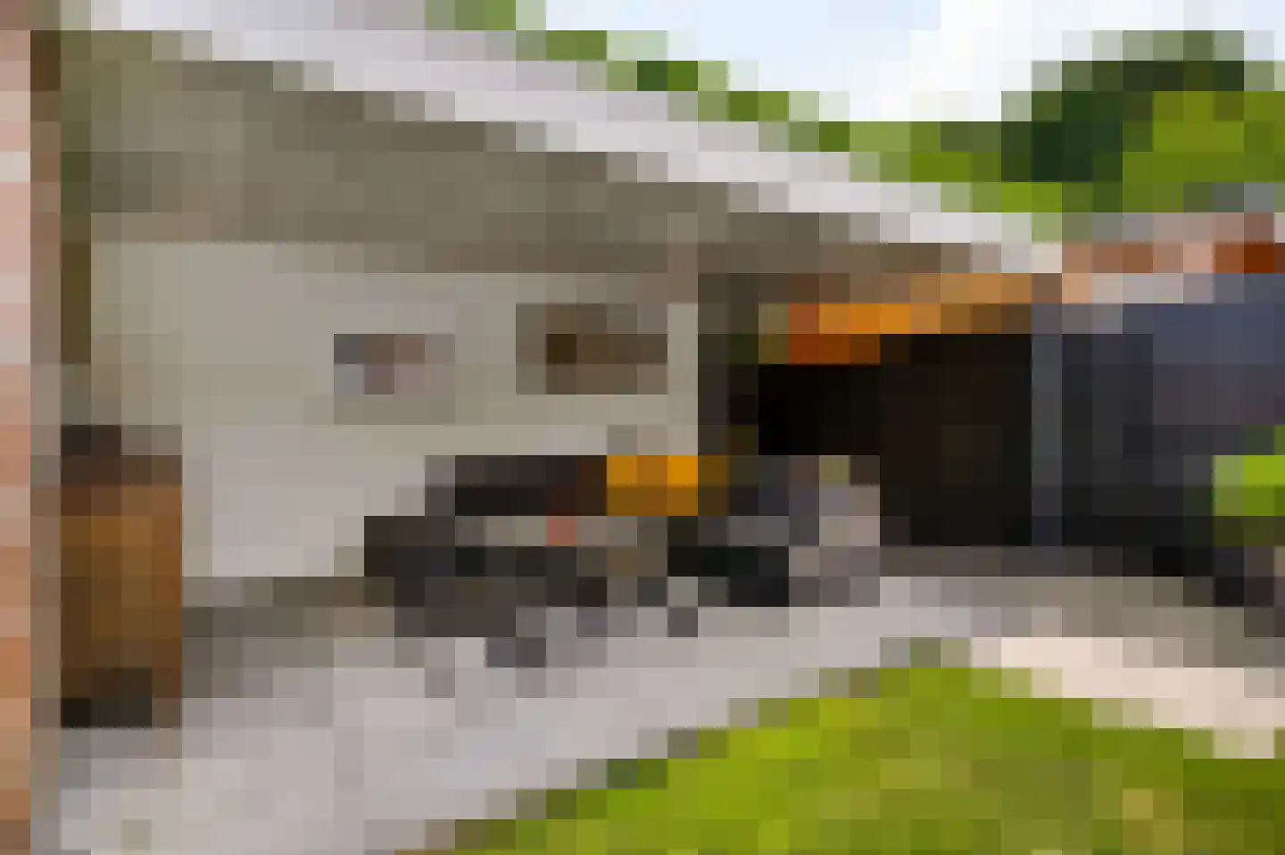Krijgershoek 41 Beek thumbnail 30