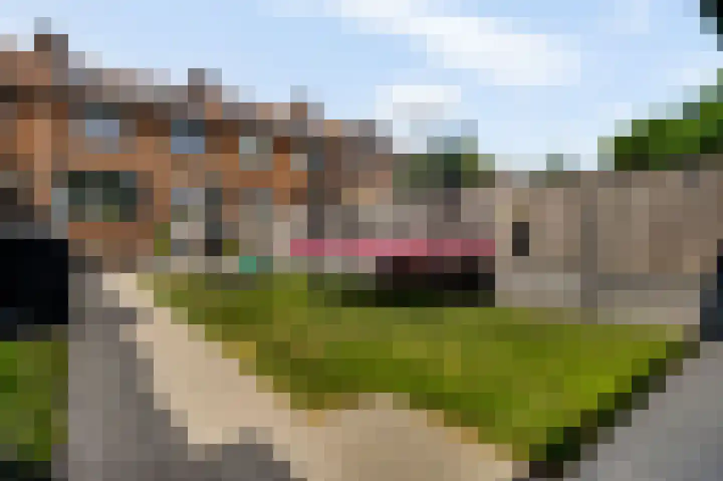 Krijgershoek 41 Beek thumbnail 32