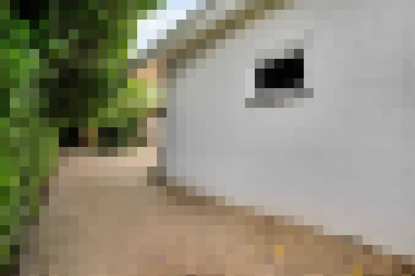 Krijgershoek 41 Beek thumbnail 42