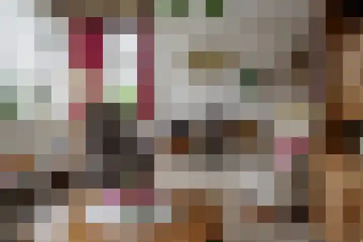Krijgerstraat 1 Vriezenveen thumbnail 10
