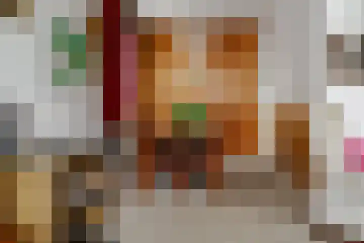 Krijgerstraat 1 Vriezenveen thumbnail 13