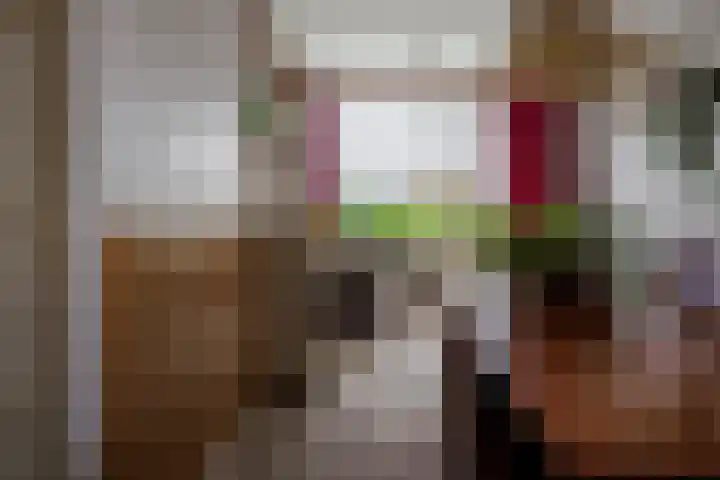 Krijgerstraat 1 Vriezenveen thumbnail 14