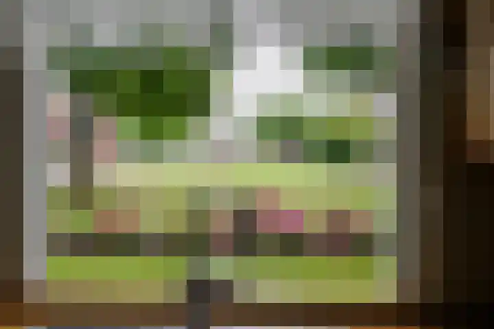 Krijgerstraat 1 Vriezenveen thumbnail 18