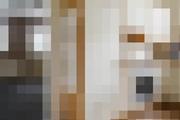 Krijgerstraat 1 Vriezenveen thumbnail 19