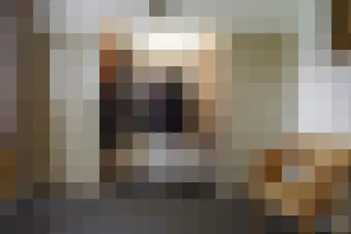 Krijgerstraat 1 Vriezenveen thumbnail 21