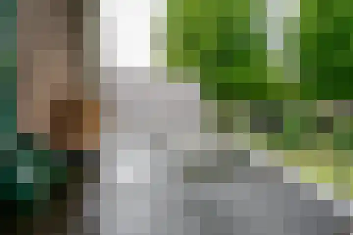 Krijgerstraat 1 Vriezenveen thumbnail 34