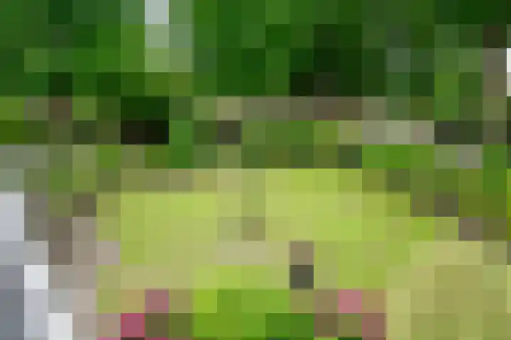 Krijgerstraat 1 Vriezenveen thumbnail 35