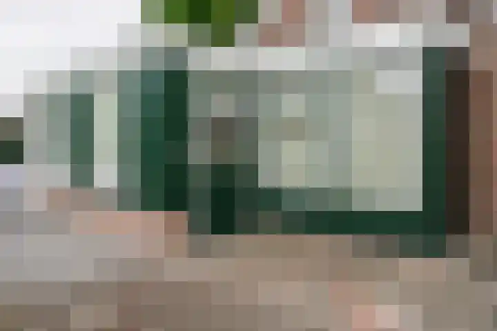 Krijgerstraat 1 Vriezenveen thumbnail 36