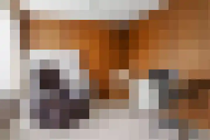 Krijgerstraat 1 Vriezenveen thumbnail 37