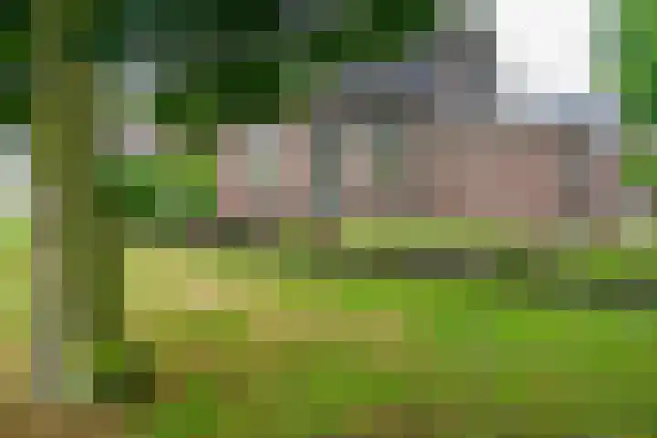 Krijgerstraat 1 Vriezenveen thumbnail 41