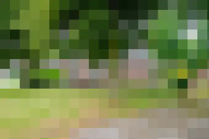 Krijgerstraat 1 Vriezenveen thumbnail 42