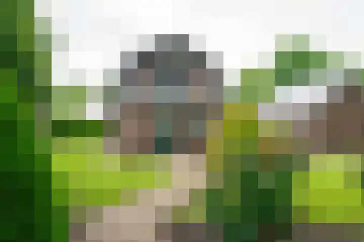 Krijgerstraat 1 Vriezenveen thumbnail 43