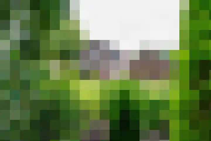 Krijgerstraat 1 Vriezenveen thumbnail 44