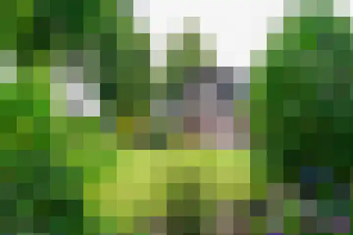 Krijgerstraat 1 Vriezenveen thumbnail 45