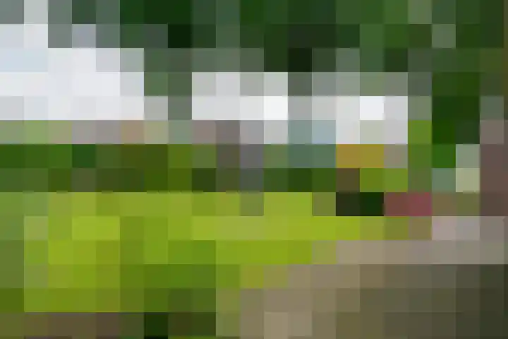 Krijgerstraat 1 Vriezenveen thumbnail 50
