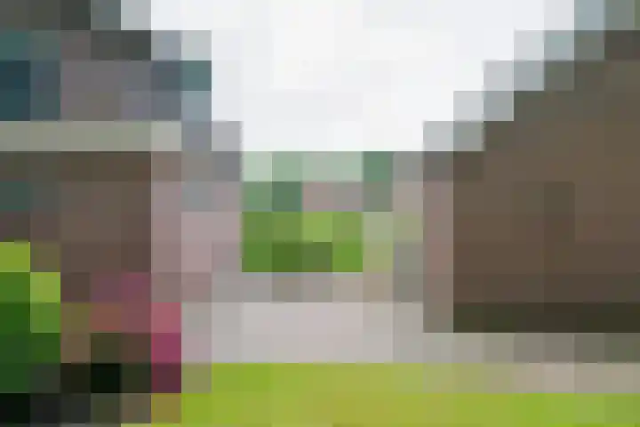 Krijgerstraat 1 Vriezenveen thumbnail 52