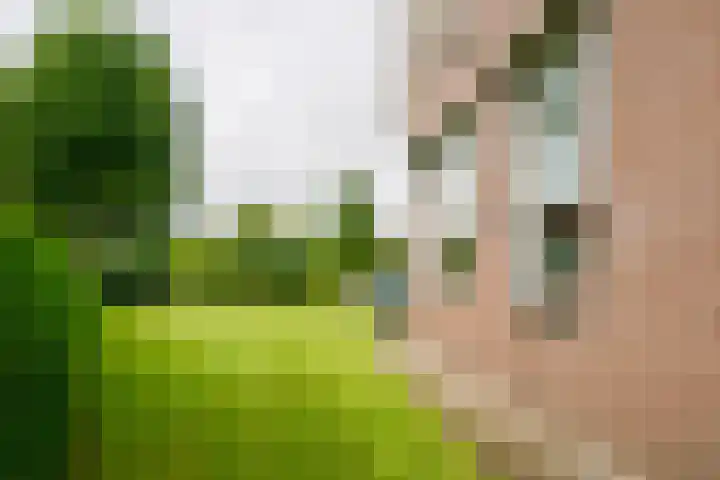 Krijgerstraat 1 Vriezenveen thumbnail 55