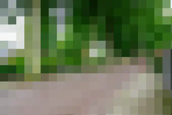 Krijgerstraat 1 Vriezenveen thumbnail 59