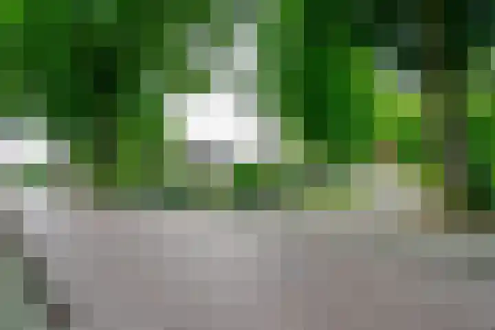 Krijgerstraat 1 Vriezenveen thumbnail 60
