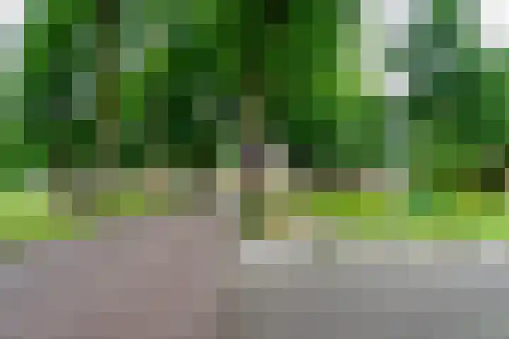 Krijgerstraat 1 Vriezenveen thumbnail 61