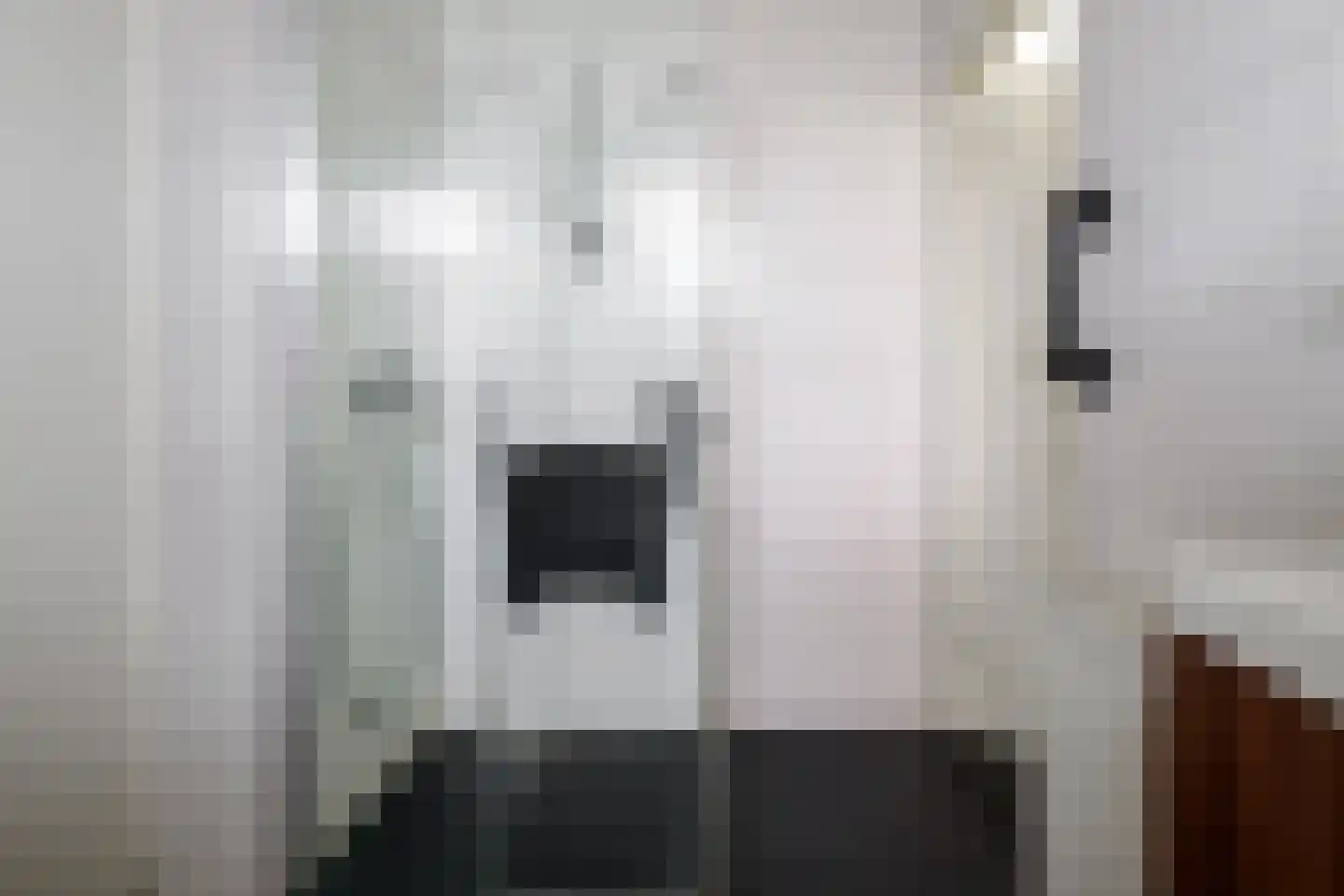 Krijgerstraat 6 Vriezenveen thumbnail 20