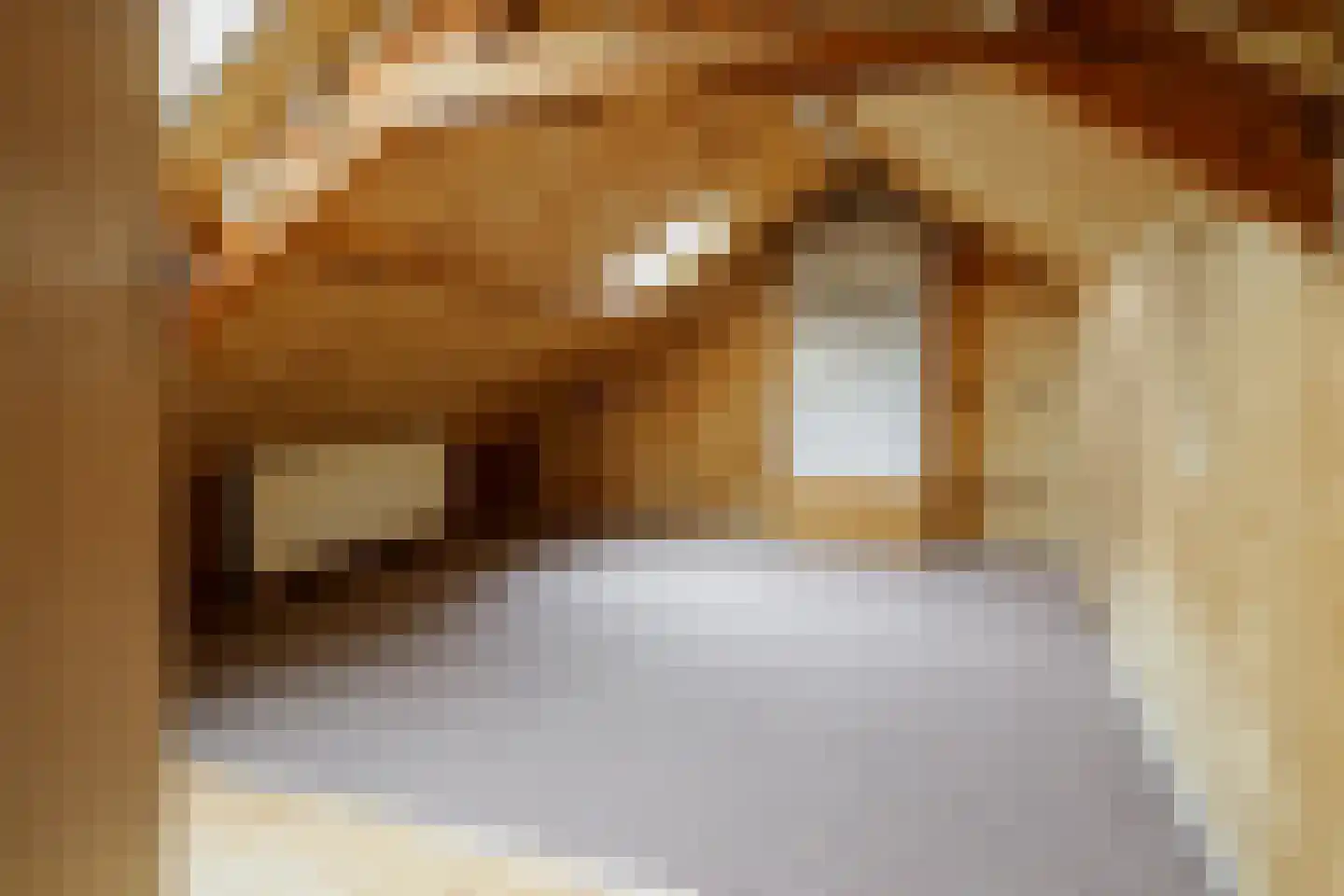 Krijgerstraat 6 Vriezenveen thumbnail 27