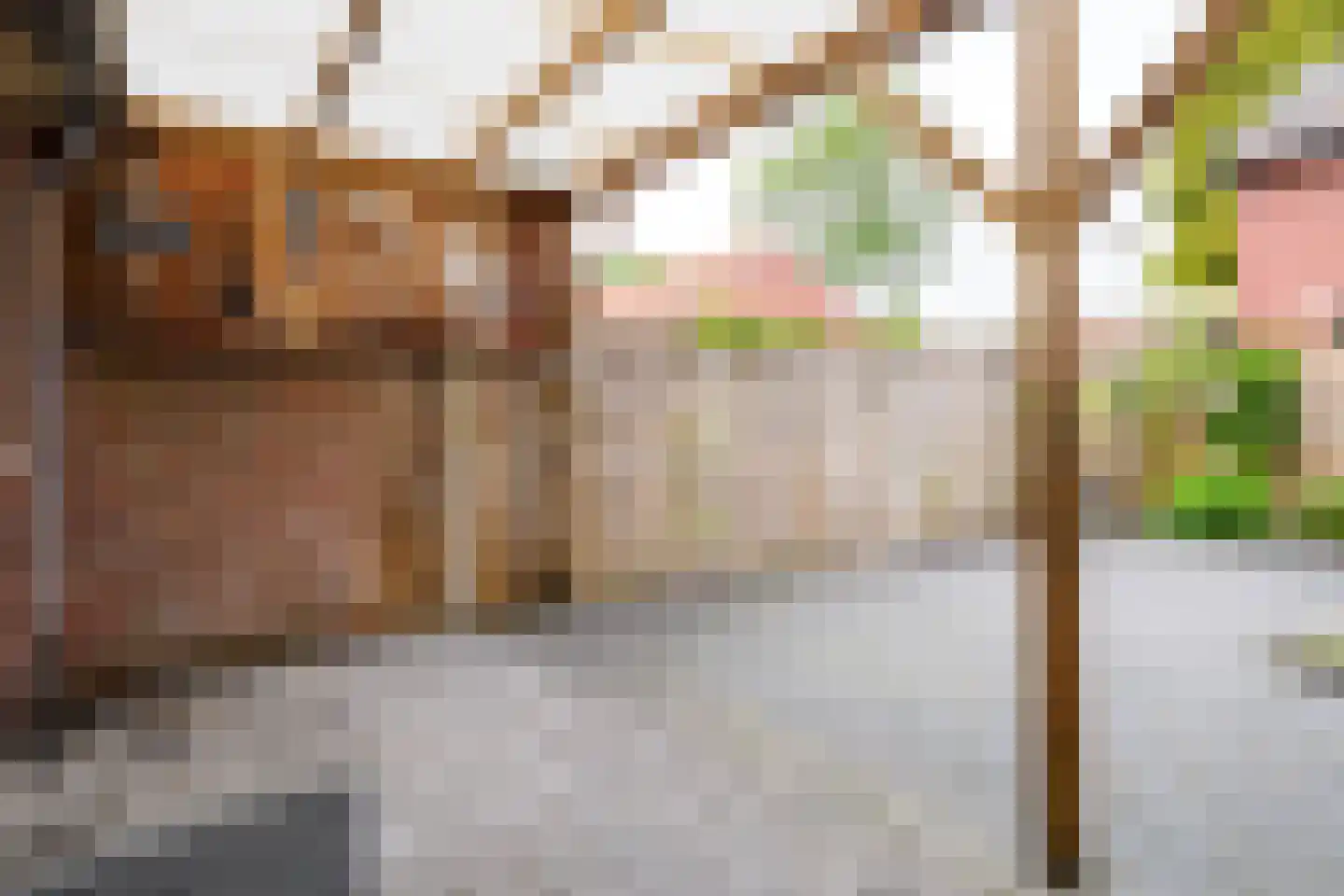 Krijgerstraat 6 Vriezenveen thumbnail 32