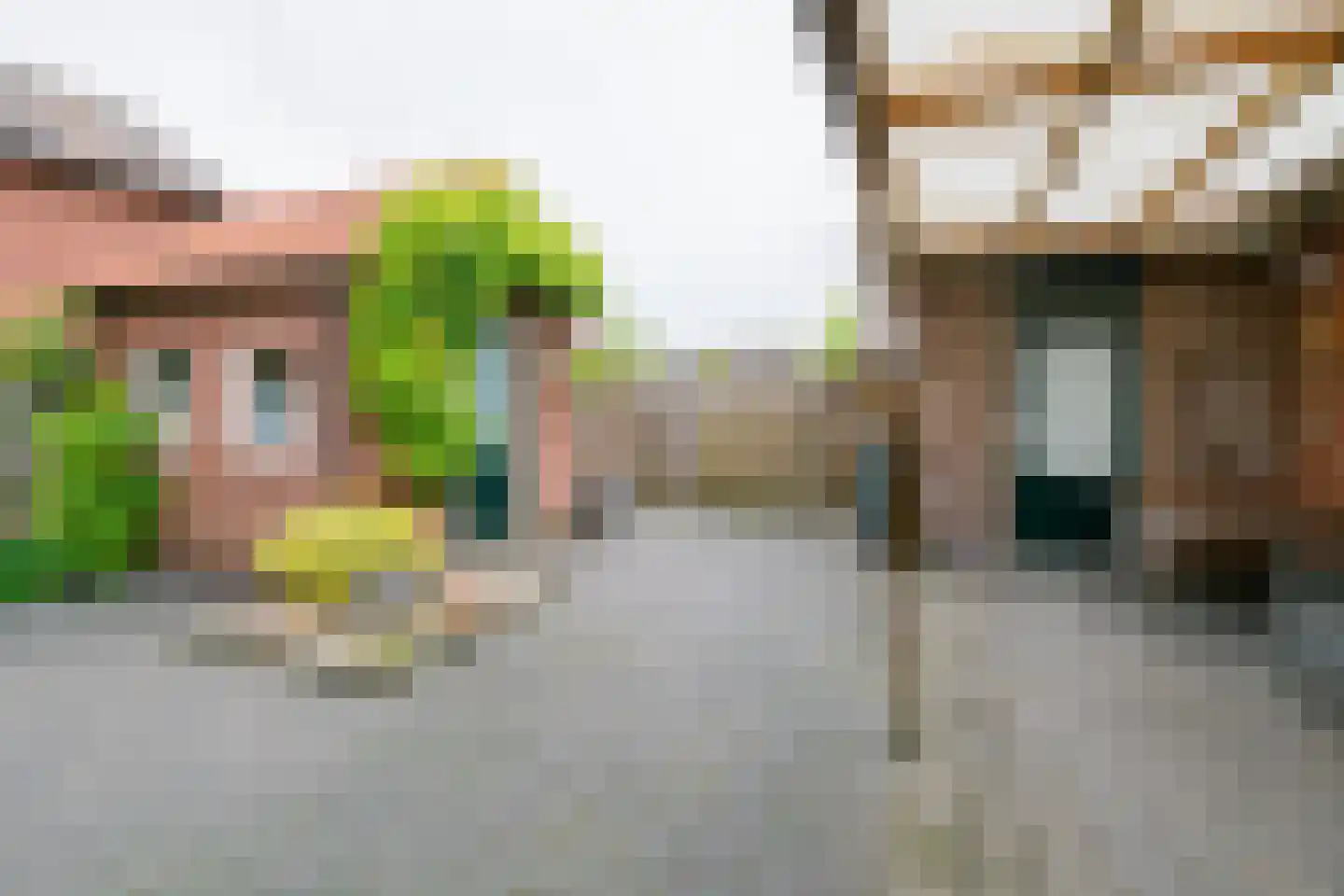 Krijgerstraat 6 Vriezenveen thumbnail 35