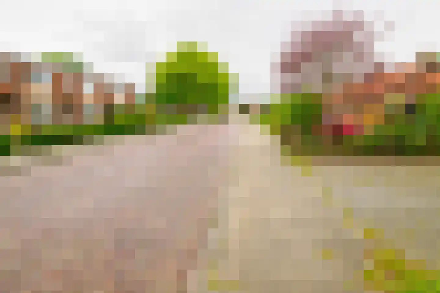 Krijgerstraat 6 Vriezenveen thumbnail 37