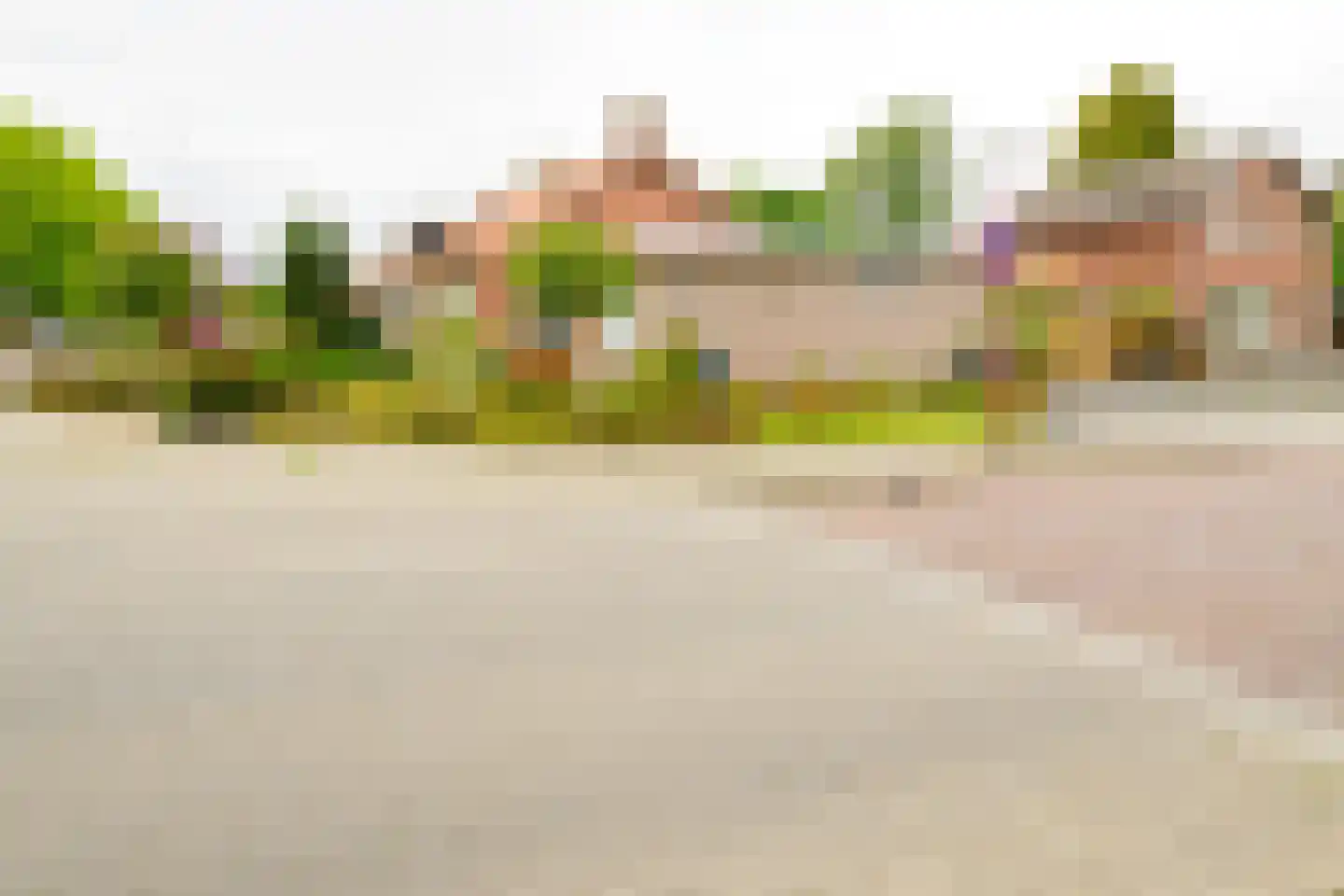 Krijgerstraat 6 Vriezenveen thumbnail 40