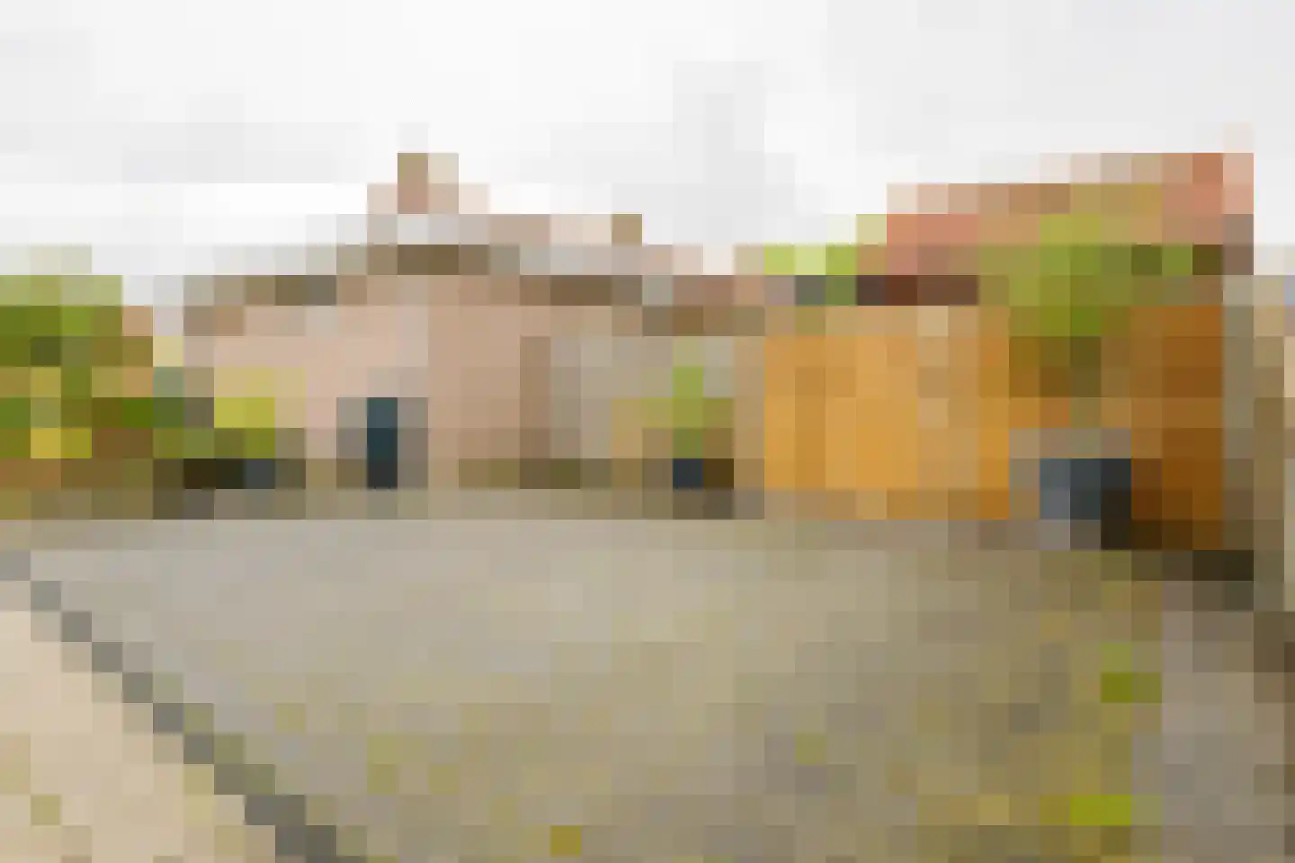 Krijgerstraat 6 Vriezenveen thumbnail 42