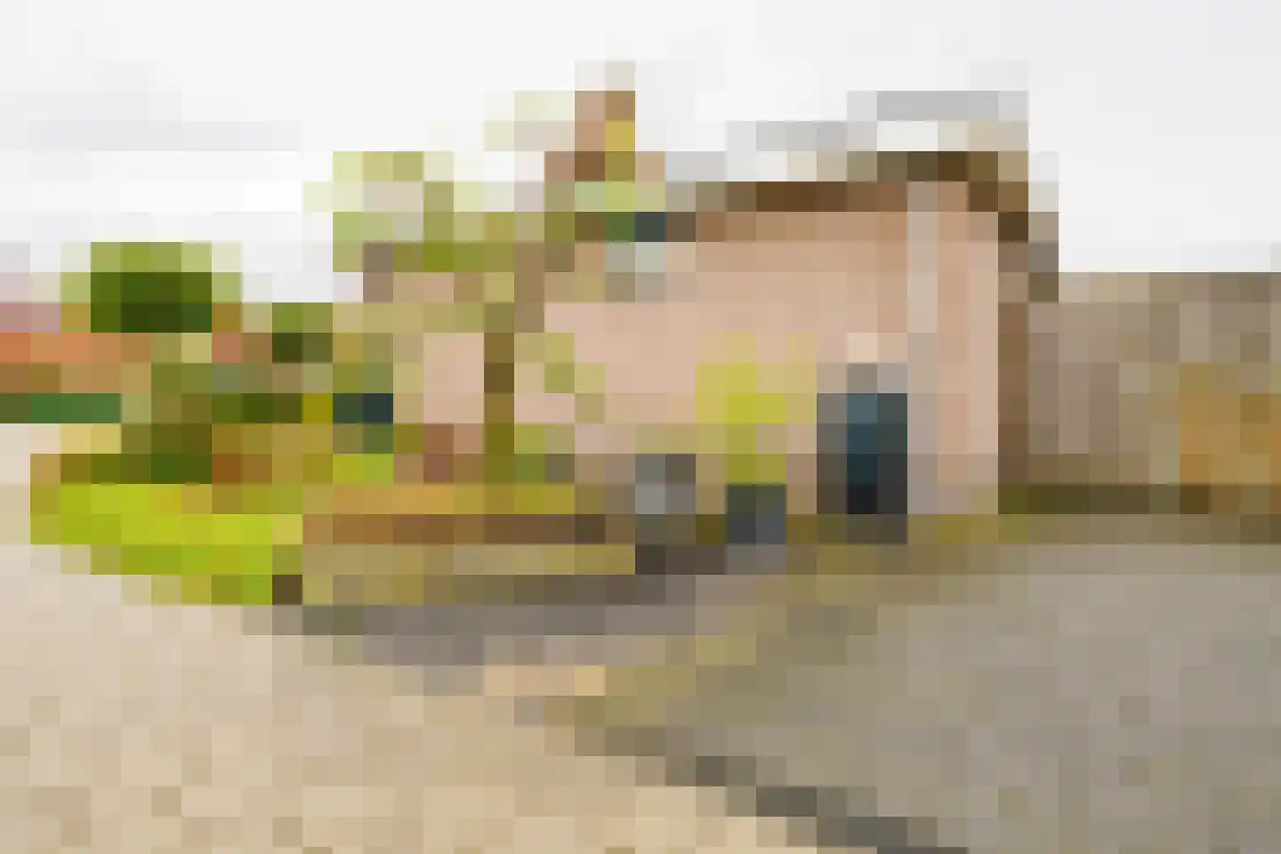 Krijgerstraat 6 Vriezenveen thumbnail 43