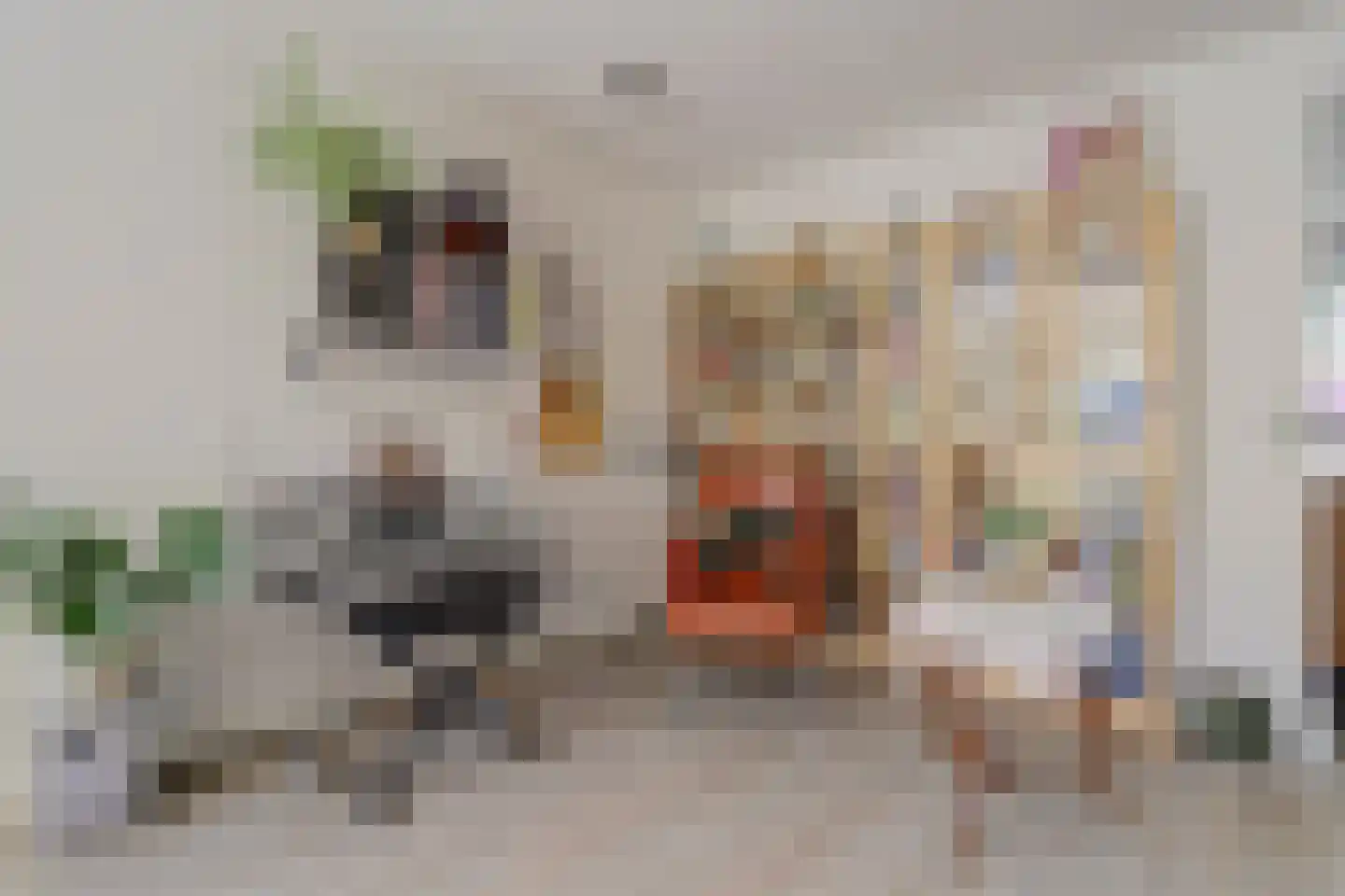 Krijgertje 20 Best thumbnail 14