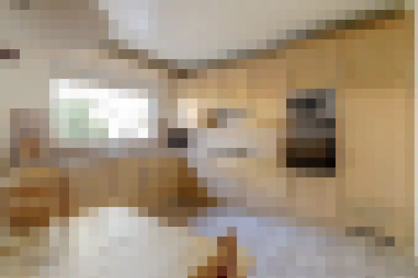 Krijgertje 20 Best thumbnail 17