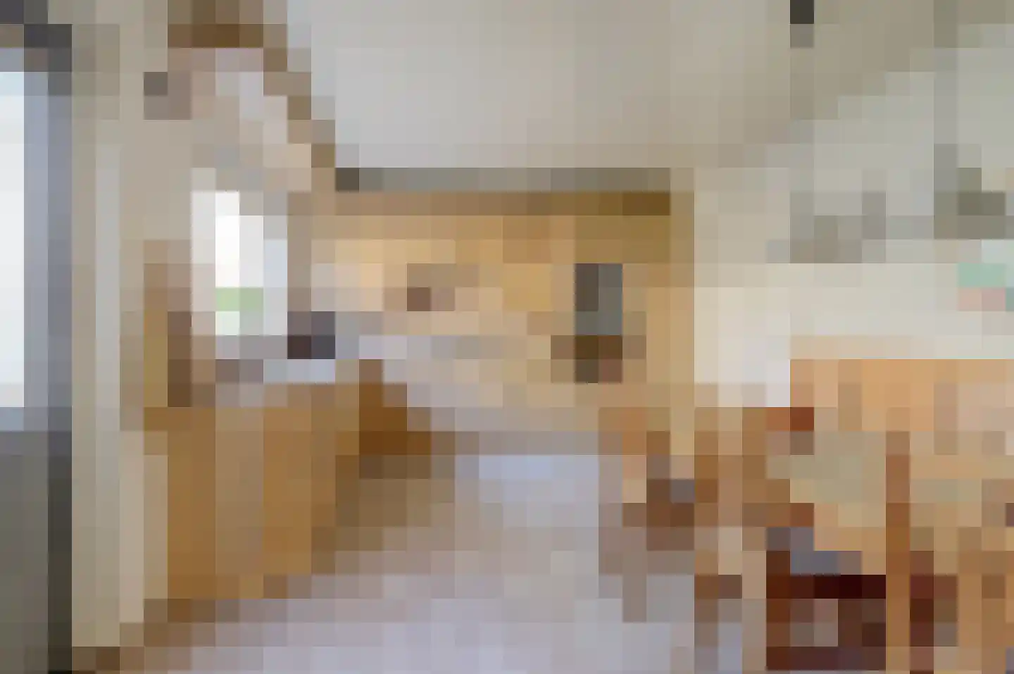 Krijgertje 20 Best thumbnail 18
