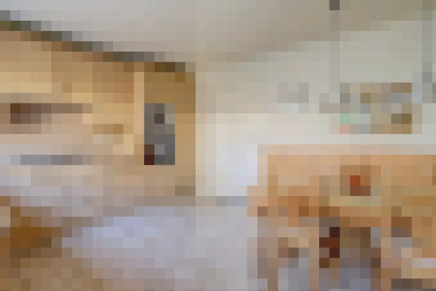 Krijgertje 20 Best thumbnail 20