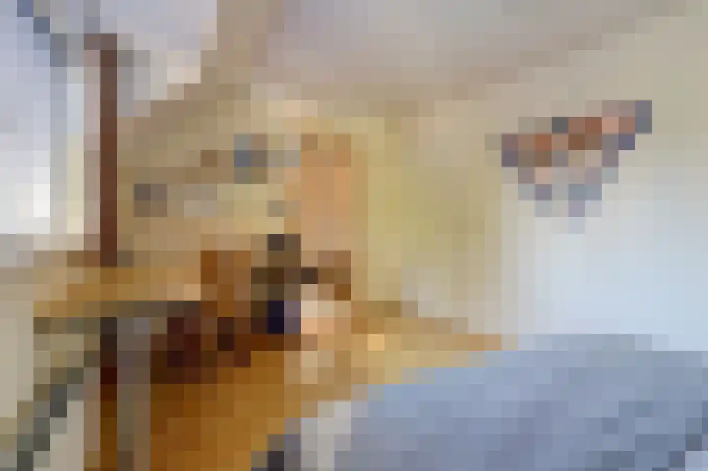 Krijgertje 20 Best thumbnail 28