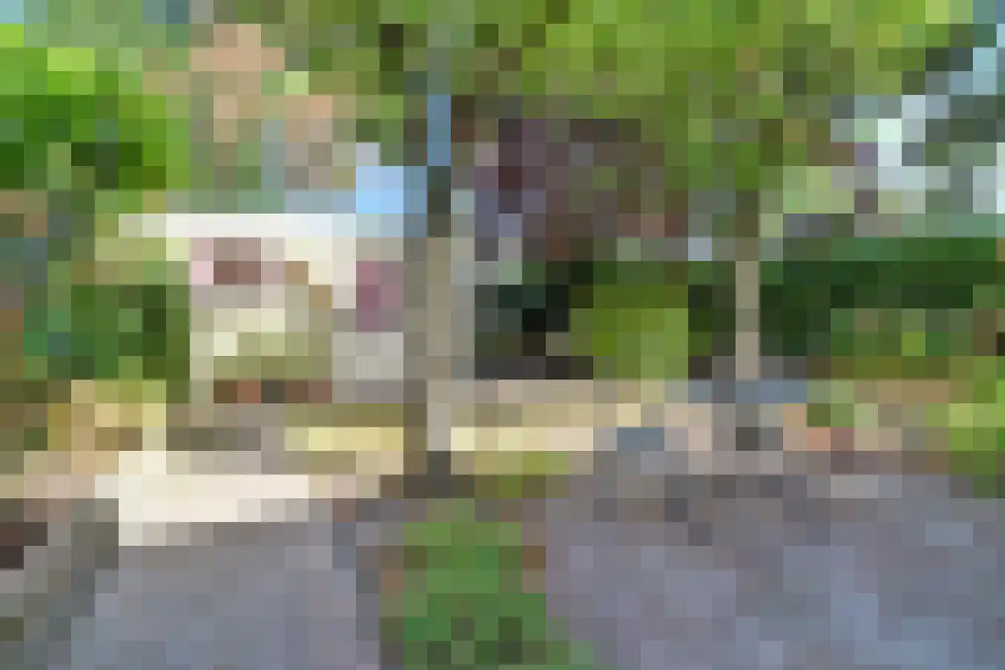 Krijgertje 20 Best thumbnail 42