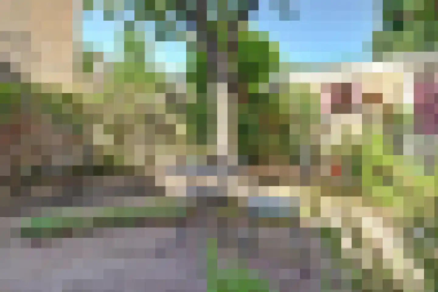 Krijgertje 20 Best thumbnail 43